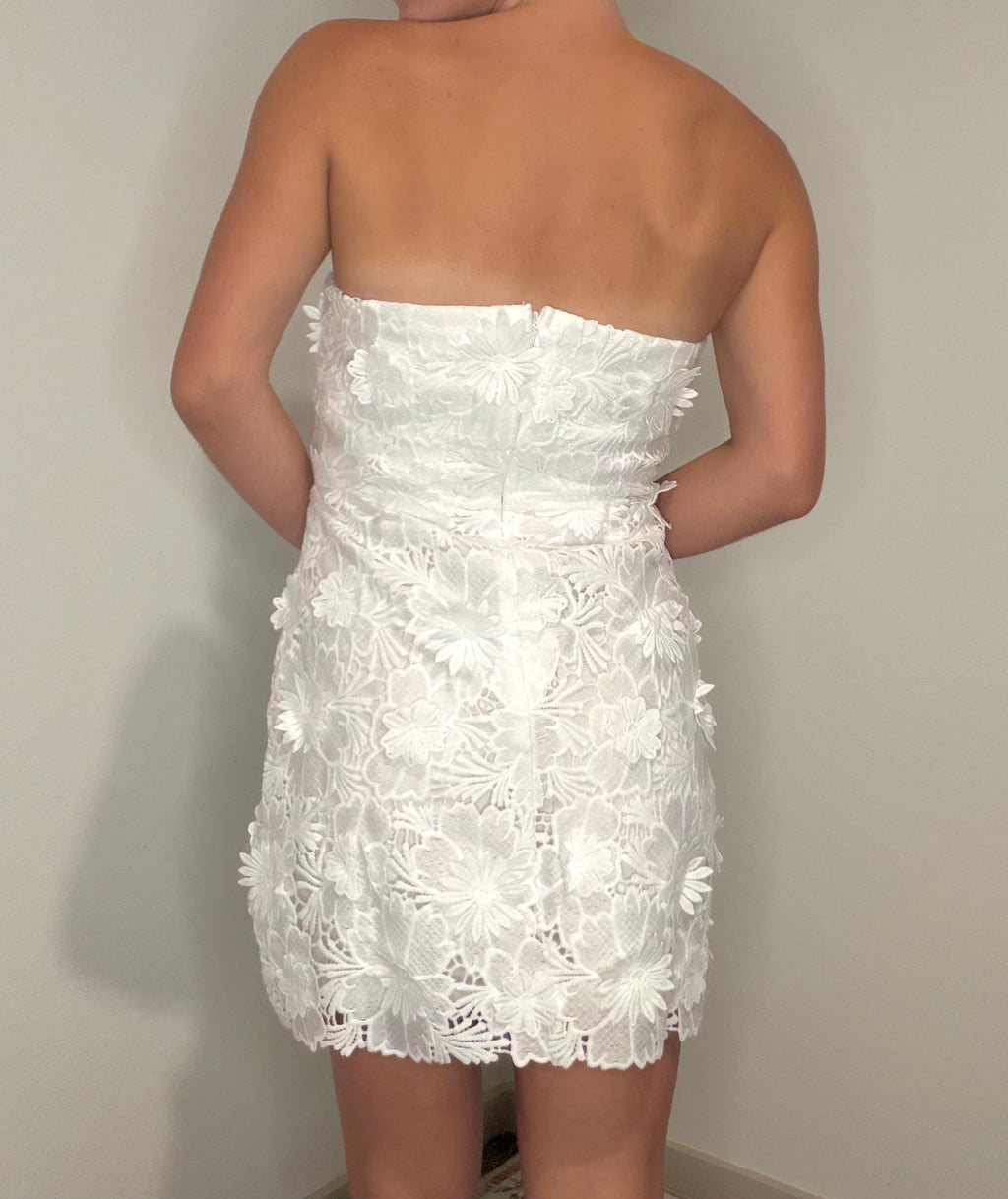 Miss America Dress – Made Worthy