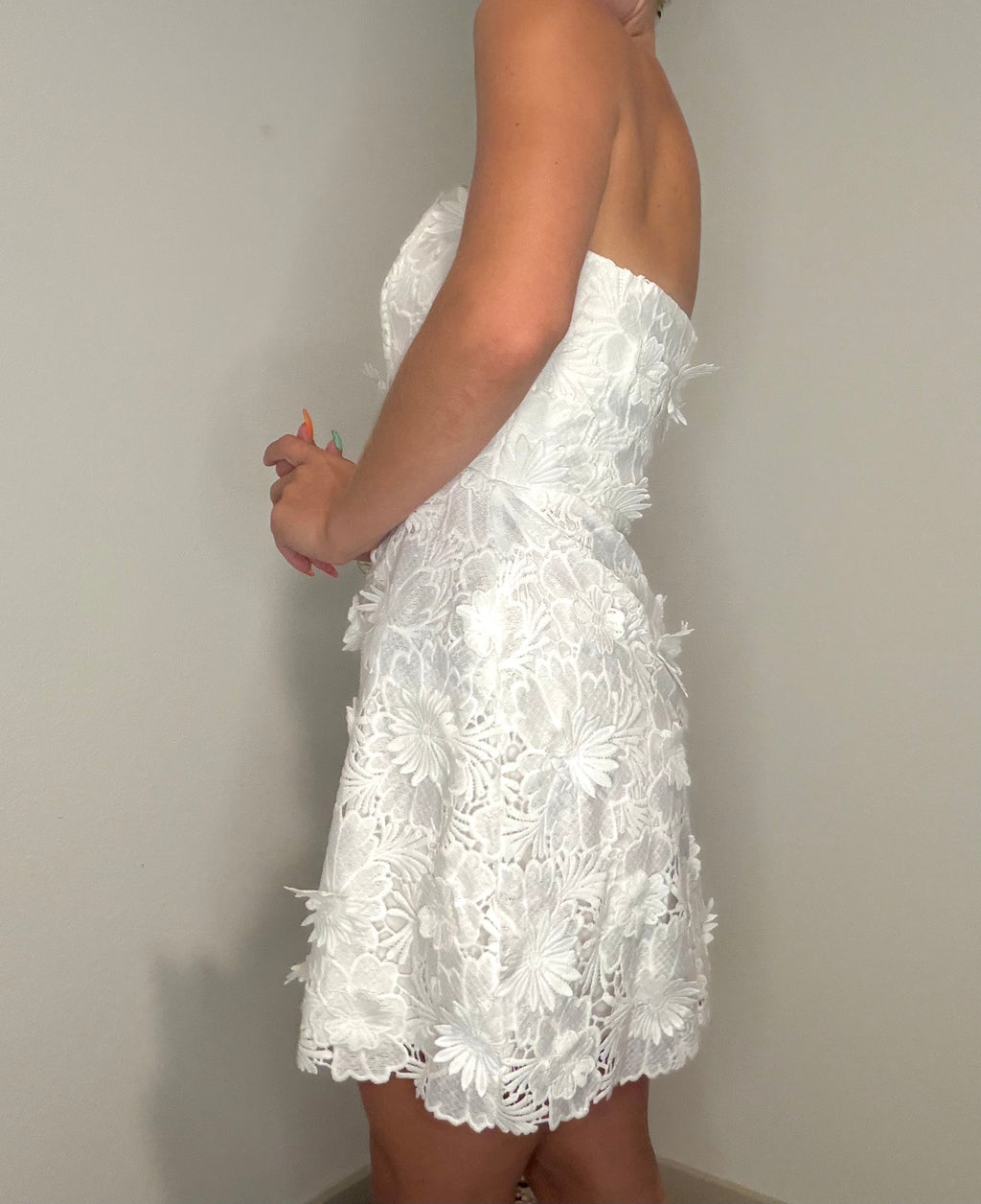 Miss America Dress